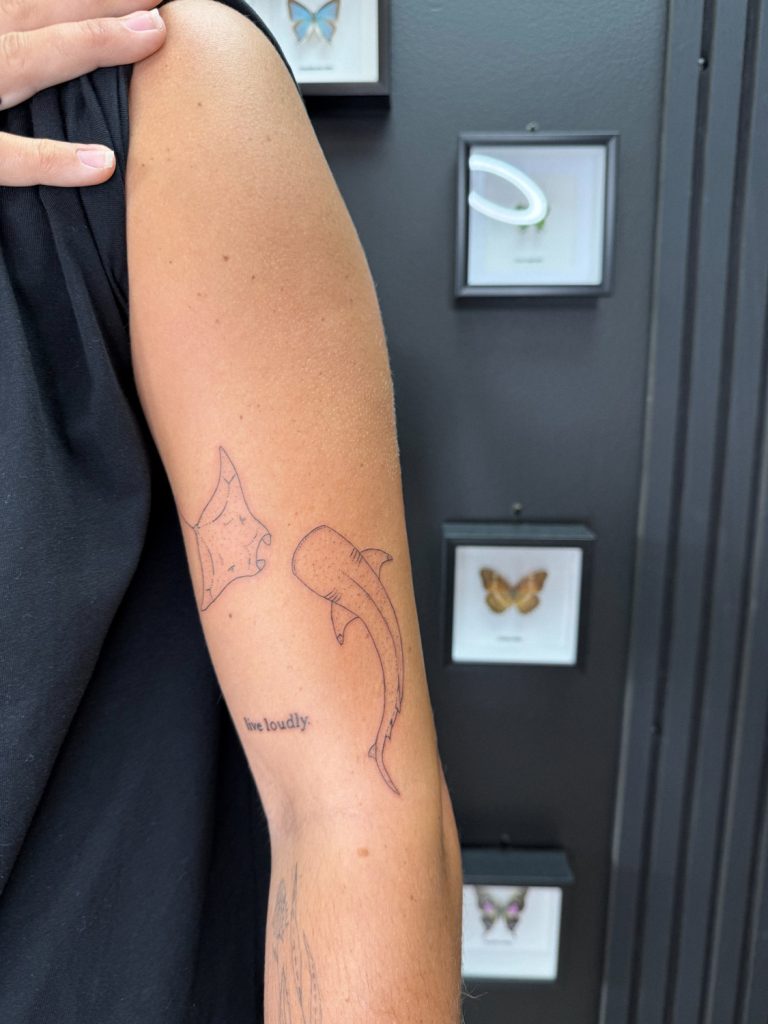 innovative-ink-buderim-skye-12