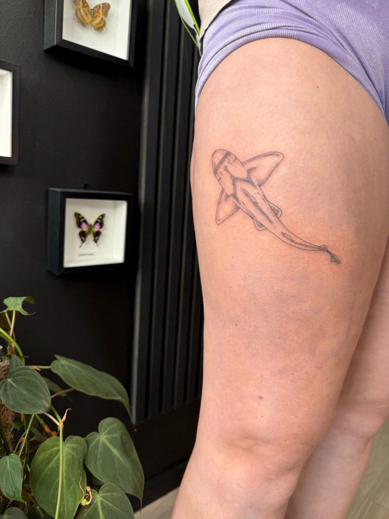 innovative-ink-buderim-skye-46