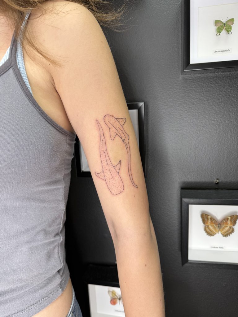 innovative-ink-buderim-skye-5