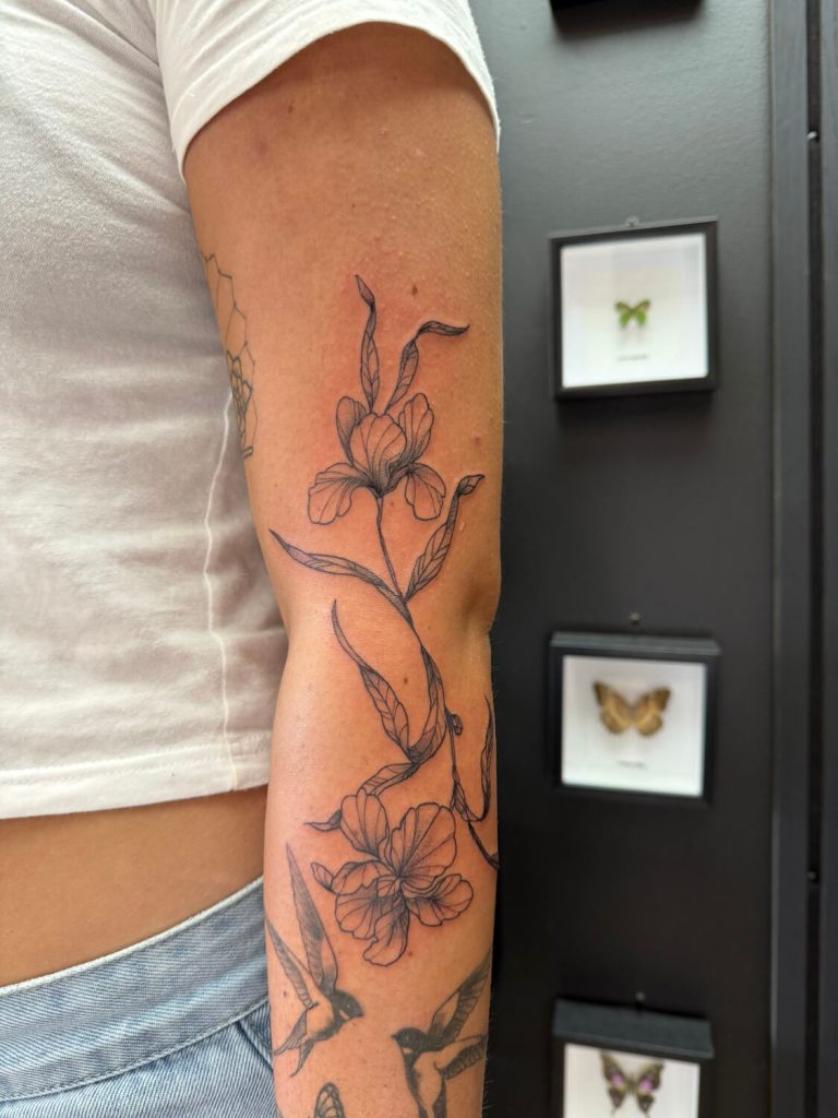 innovative-ink-buderim-skye-51